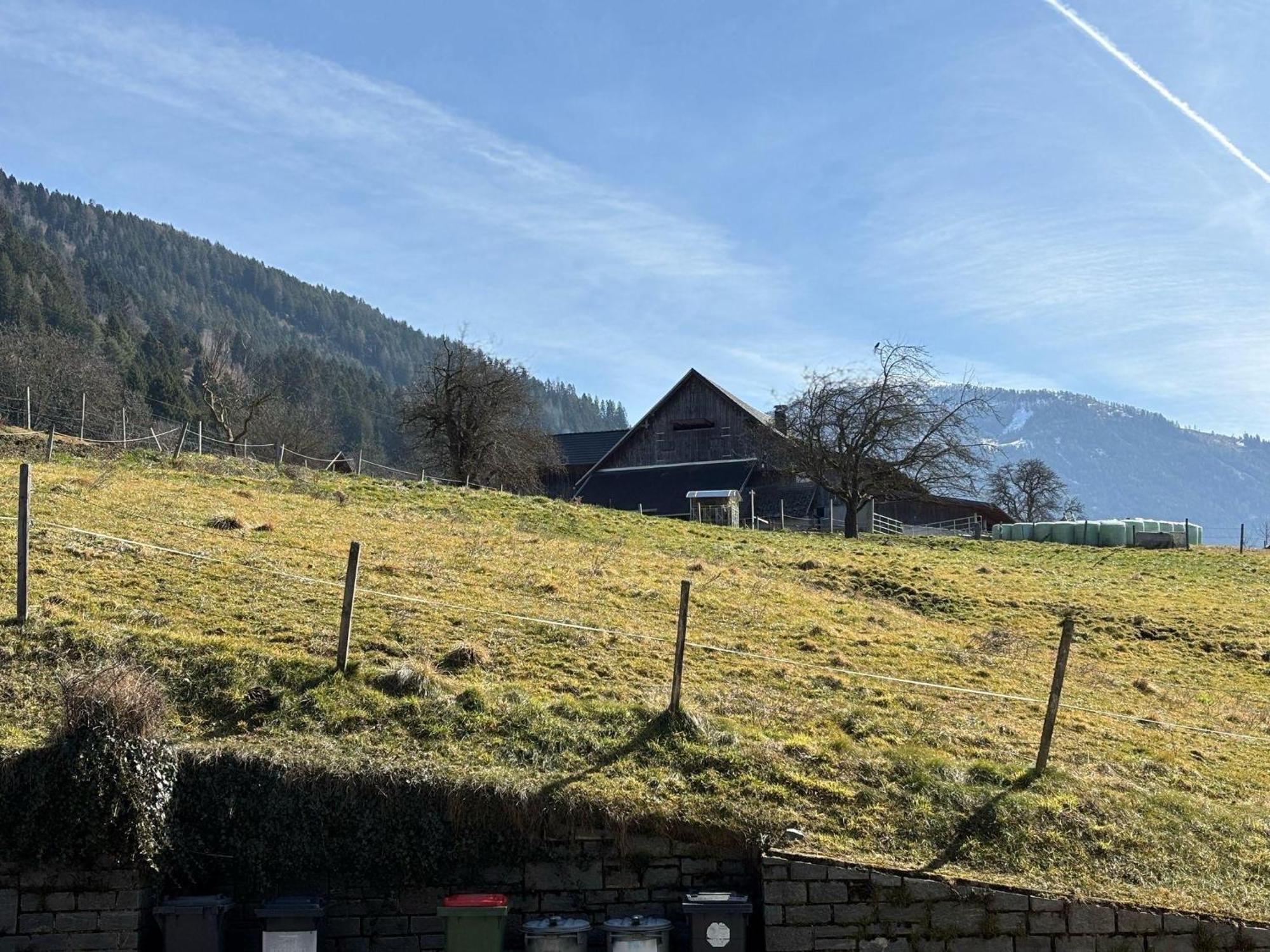 Moderne-Ferienwohnung-Nur-1Km-Vom-Millstaetter-See-In-Kaernten-Entfernt Millstatt Eksteriør billede