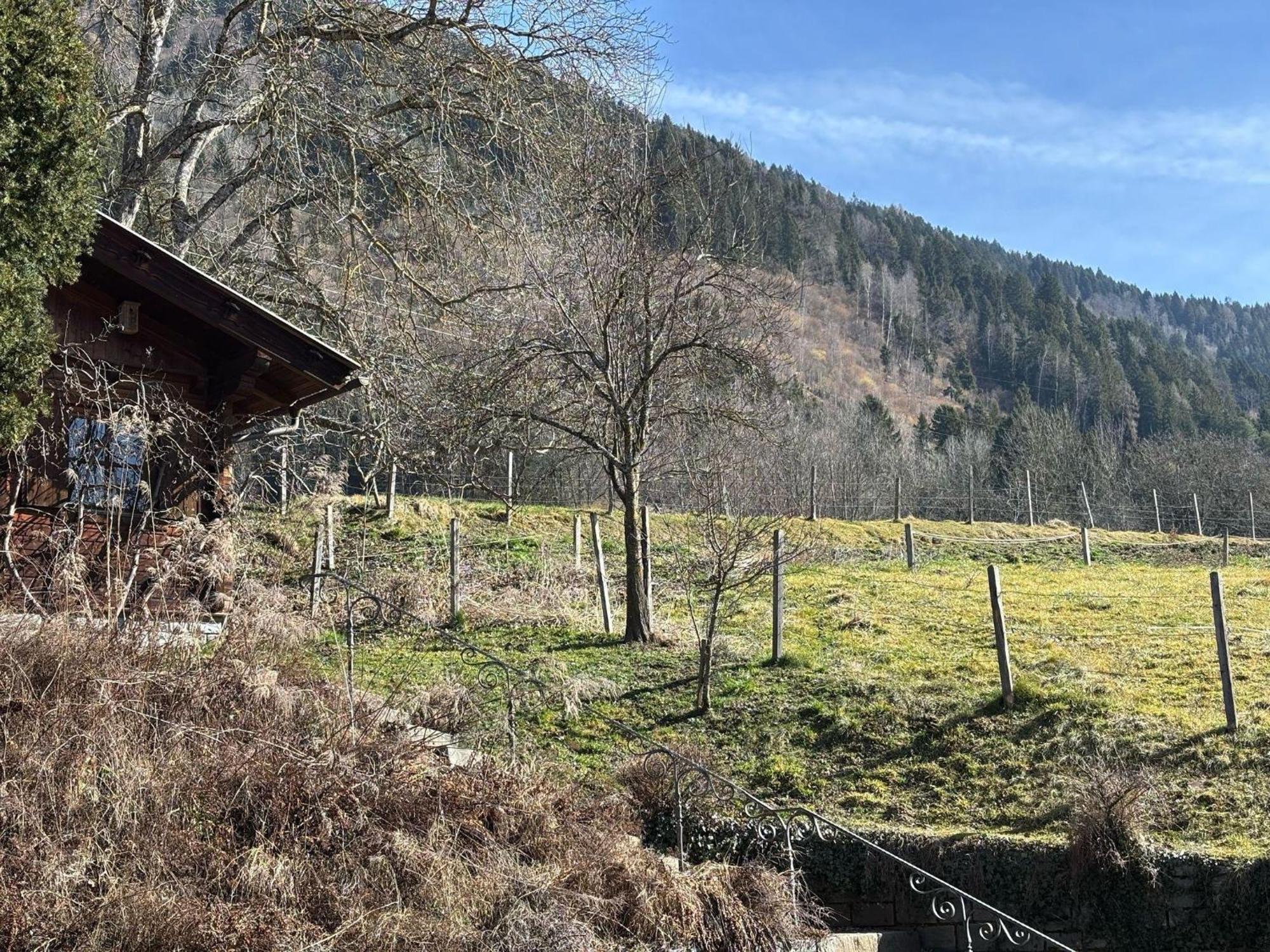 Moderne-Ferienwohnung-Nur-1Km-Vom-Millstaetter-See-In-Kaernten-Entfernt Millstatt Eksteriør billede